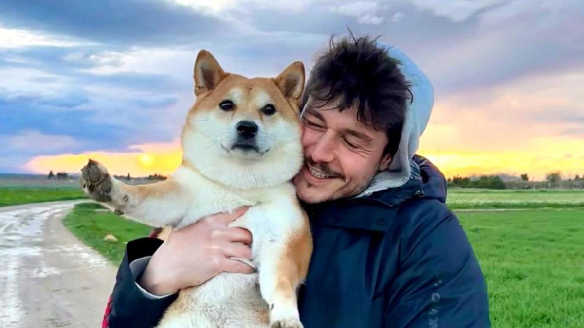 Photo anxiété chez les chiens