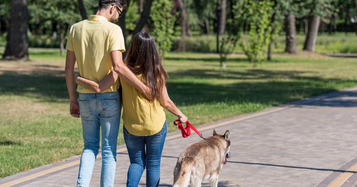 Stress chez les chiens