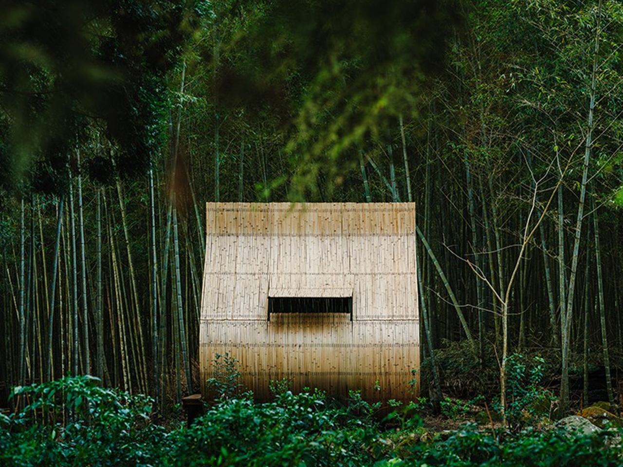 1753832852 544 Decouvrez Ce Design Innovant de Cabane en Bambou Inspire par - plare.