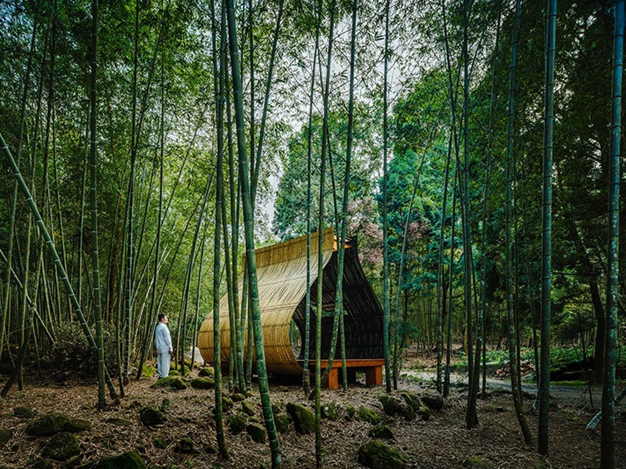 1753832853 702 Decouvrez Ce Design Innovant de Cabane en Bambou Inspire par - plare.
