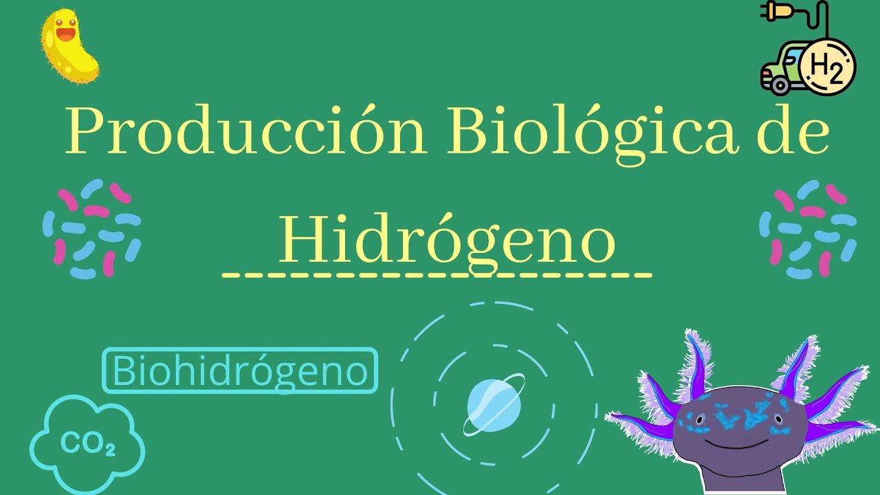 biohydrogène innovation circulaire