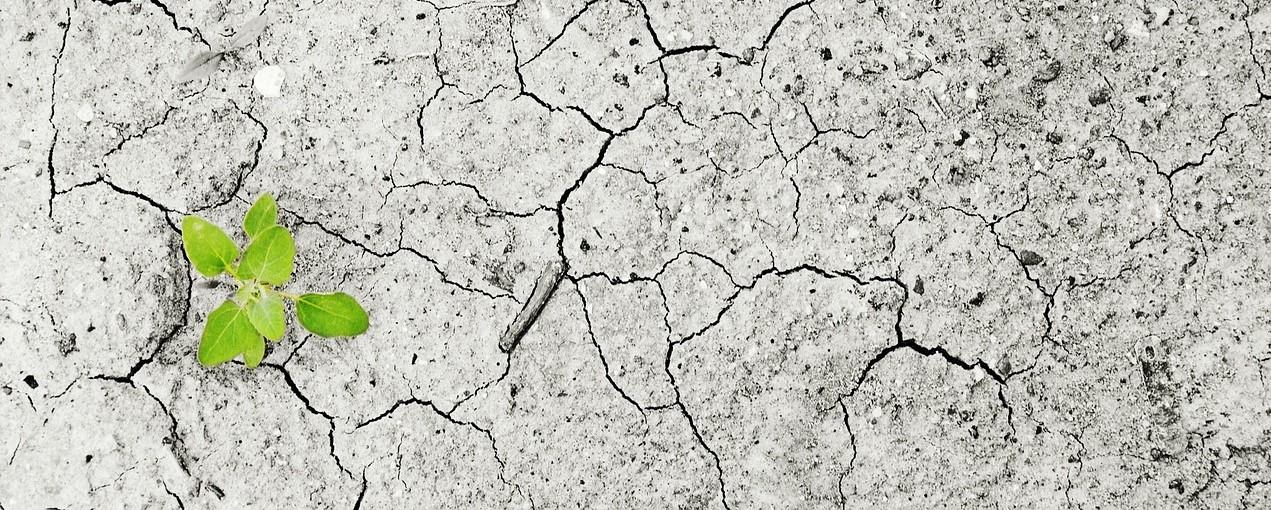 impactos sociales suelos contaminados