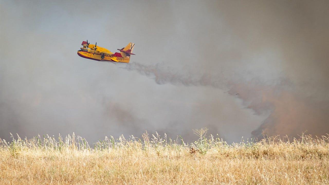 Prévention des incendies forestiers aux Canaries