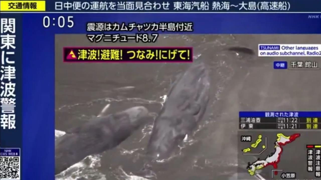 Groupe de ballenas encalladas