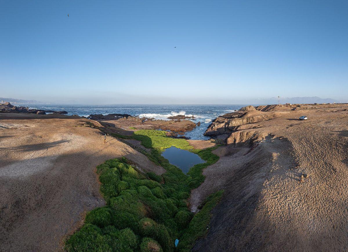 Biodiversité dans le Humedal Aguada La Chimba