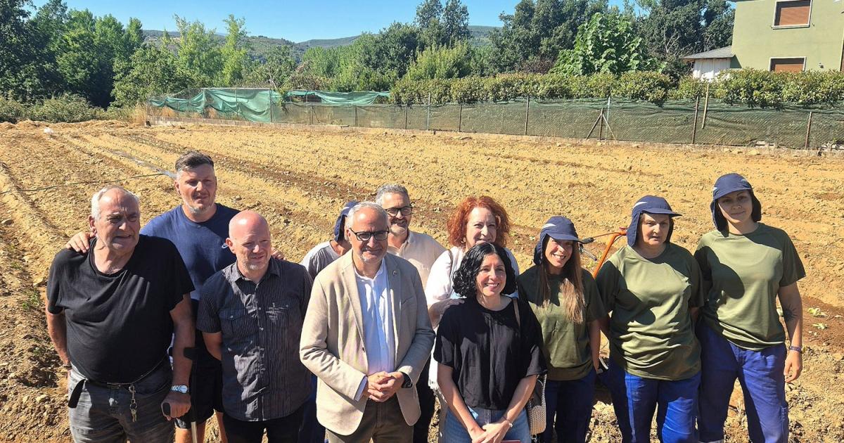 Renouvellement générationnel agromentoring
