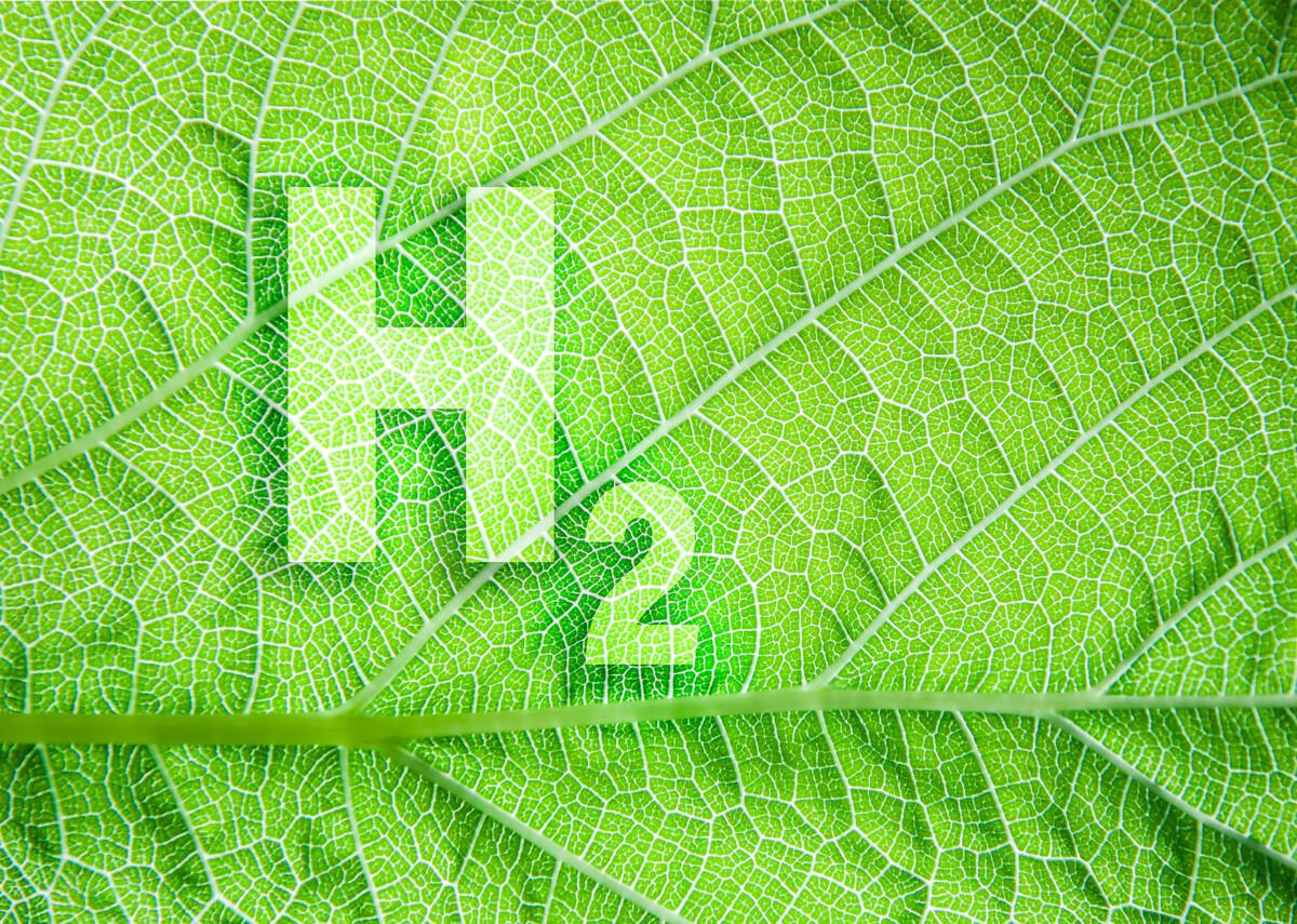 production hydrogène vert