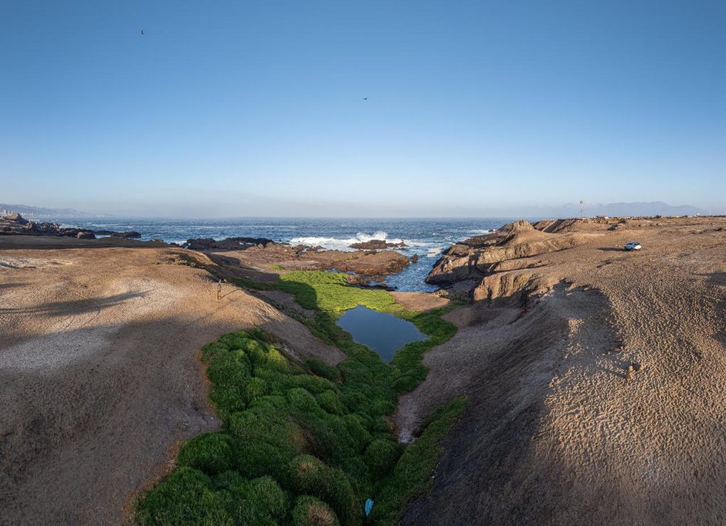 Aguada La Chimba : Un Humedal d’Antofagasta Récompensé pour sa Récupération Environnementale