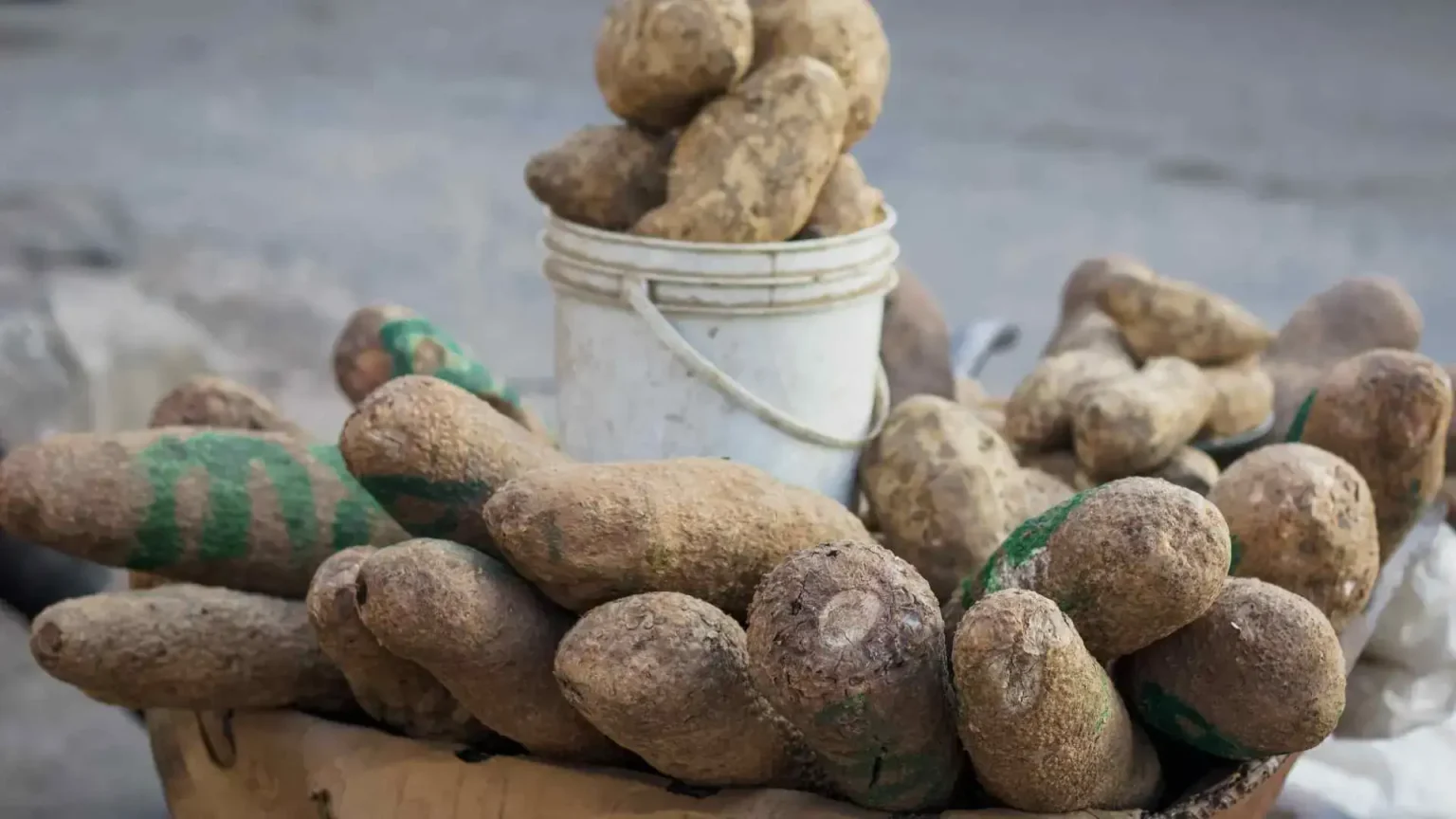 Bien sûr ! Voici un nouveau titre SEO basé sur ta demande :
« Beneficios y Variedades Clave de los Productos: Tendencias de Consumo que Marcan la Diferencia »