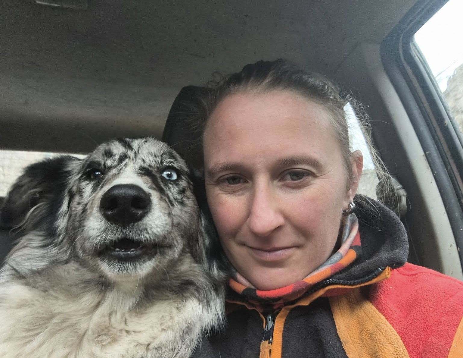 Ejemplar joven de Border Collie tumbado en la hierba