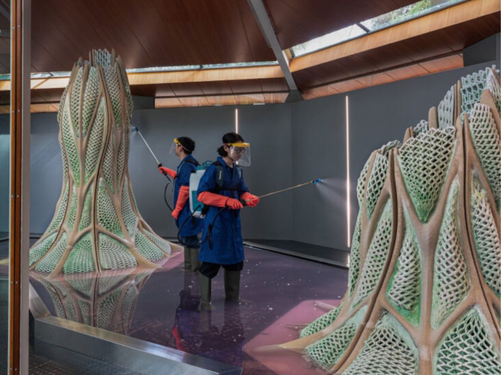 Découvrez ce « Bâtiment Vivant » qui utilise du bio-ciment absorbant le CO2 : une architecture à bilan carbone négatif !