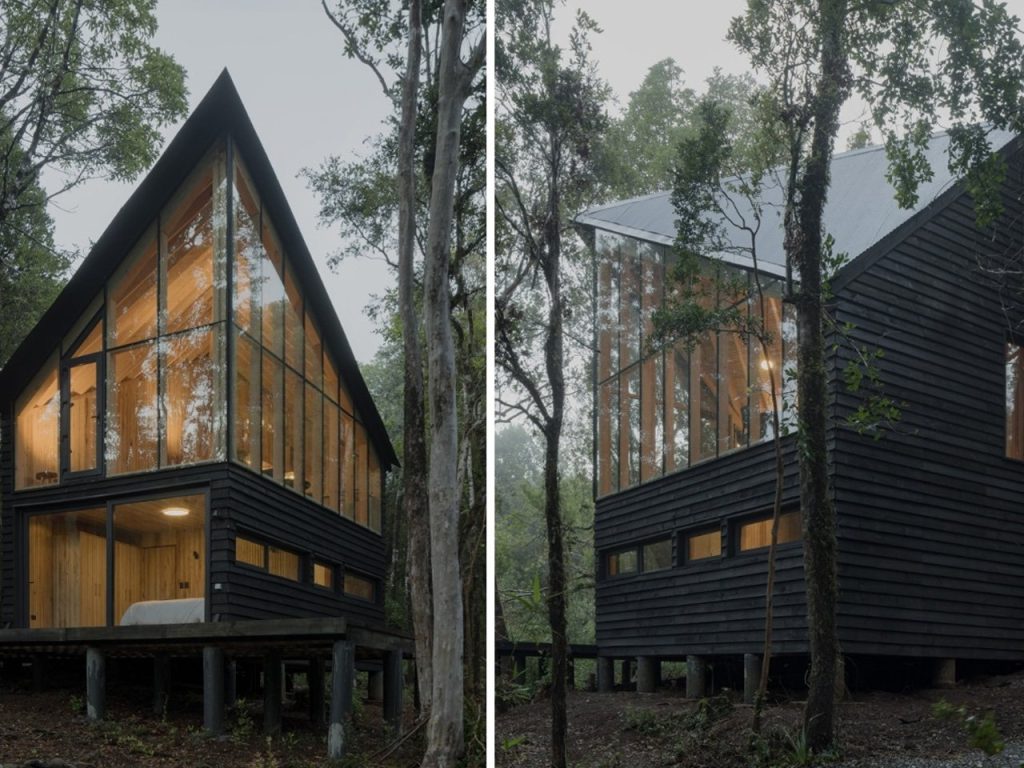 Découvrez cette Tiny Vertical Cabin en plein cœur de la forêt tropicale chilienne : l’escapade parfaite pour les amoureux de la nature !
