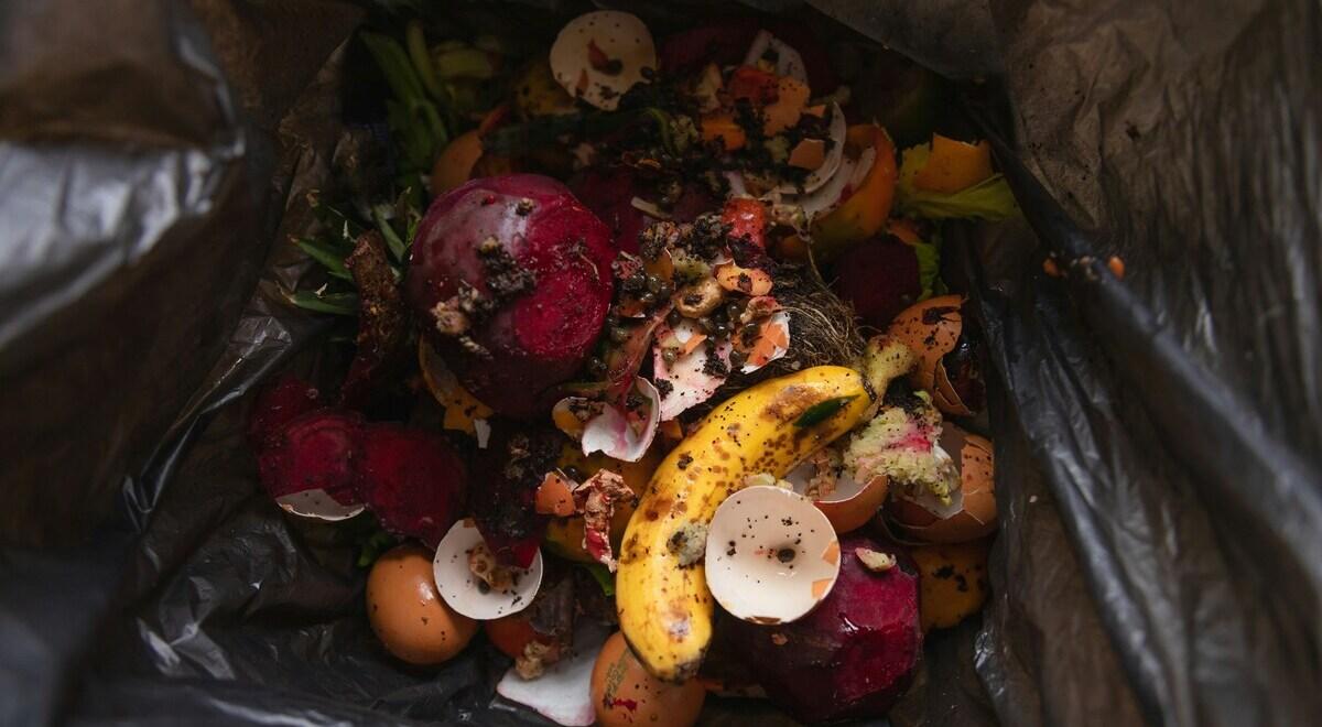 Desperdicio alimentario - plare.