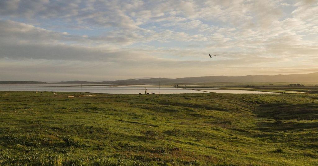 Espagne relance les humedales emblématiques avec des investissements européens massifs