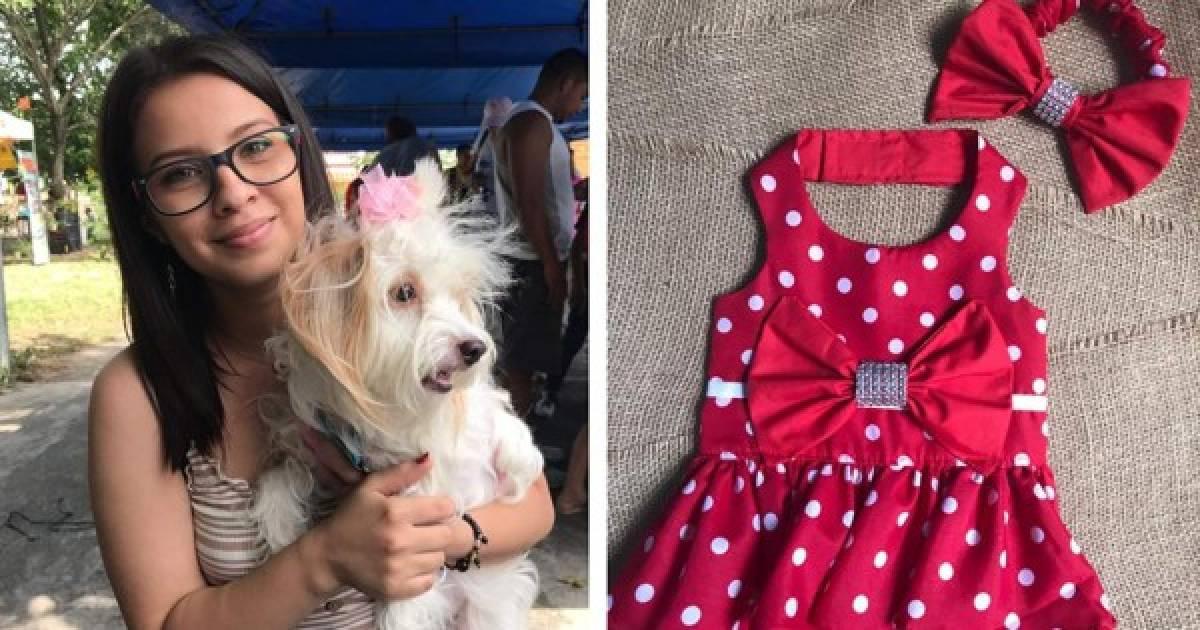 voyage sécurisé avec un harnais pour chiens