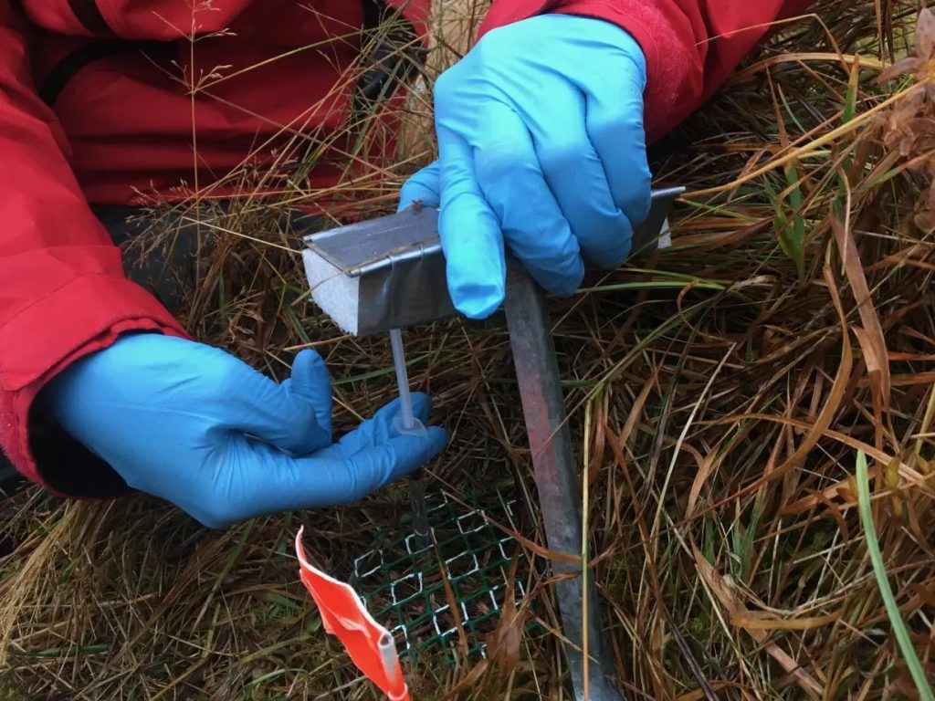 Impact du réchauffement climatique : la chaleur accélère la dégradation du sol arctique et intensifie les émissions de CO2