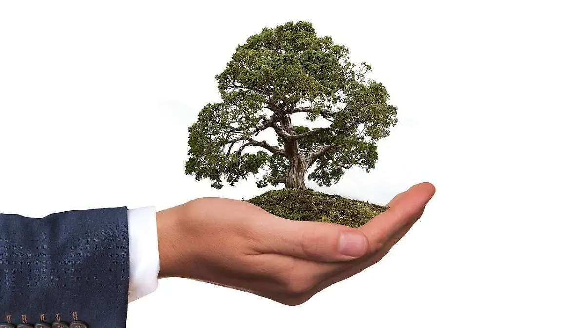 droit à un climat sain et sain