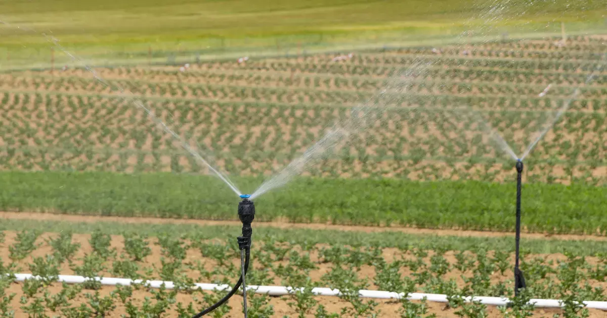 Irrigation en Agriculture Durable
