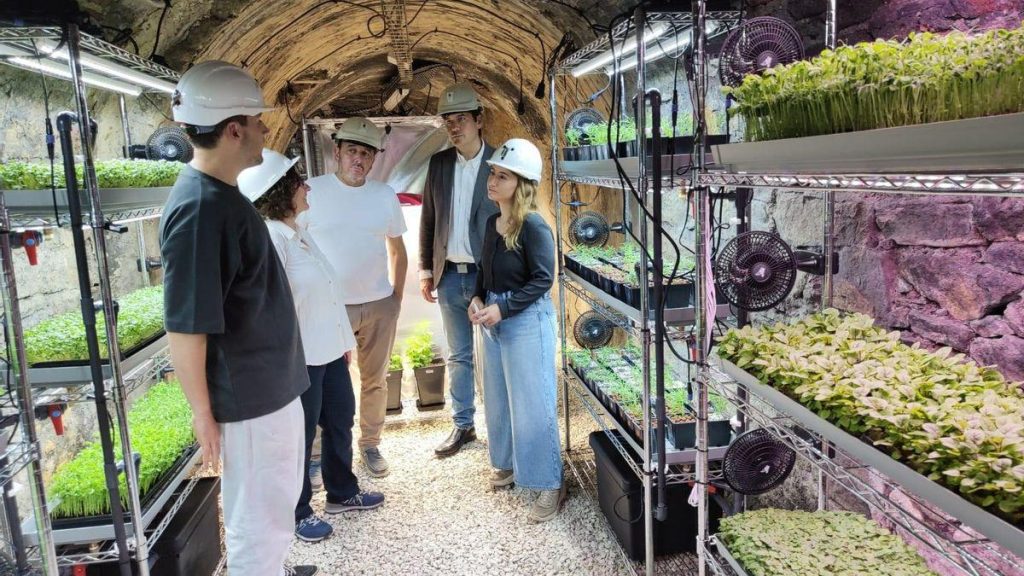 L’agriculture souterraine prend son essor en Asturies : innovations et avantages pour l’écologie.