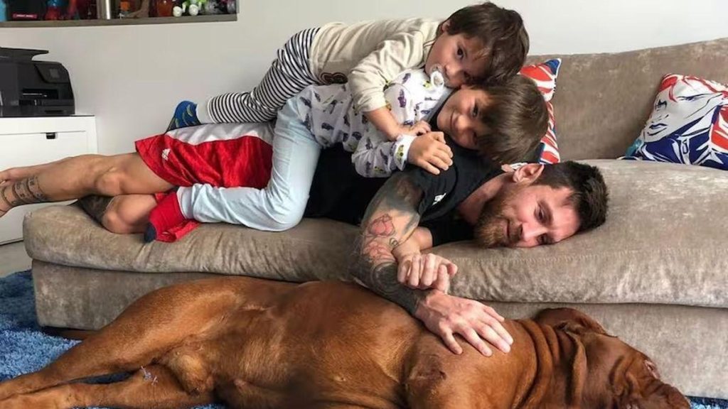 « Le dogo argentin : star controversée de l’actualité canine au cœur des débats publics »