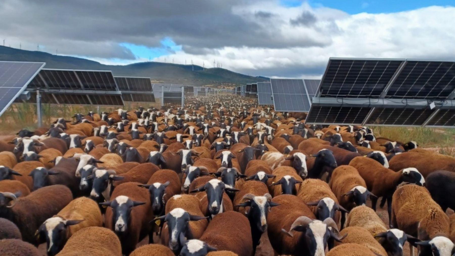 Lessor des panneaux solaires flexibles innovations et usages pratiques - plare.