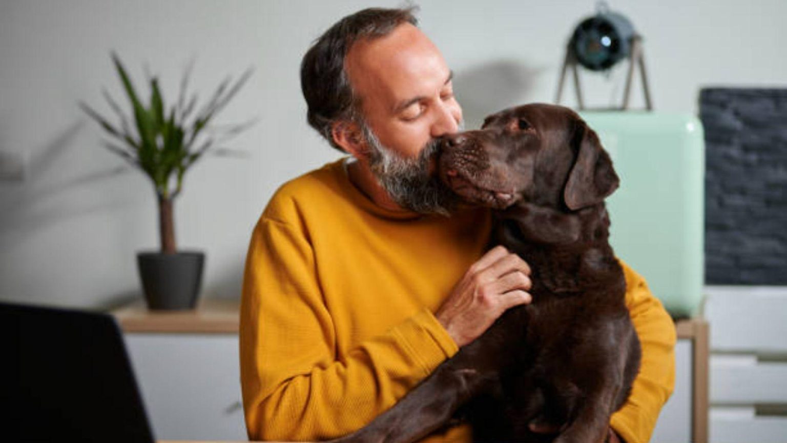 Nouveautés essentielles sur la loi de bien-être animal en Espagne : impact et changements à connaître