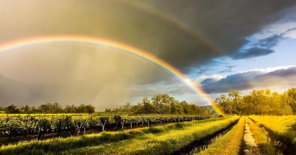 Pluie, températures variées et innovations technologiques : un aperçu captivant des tendances climatologiques et numériques.