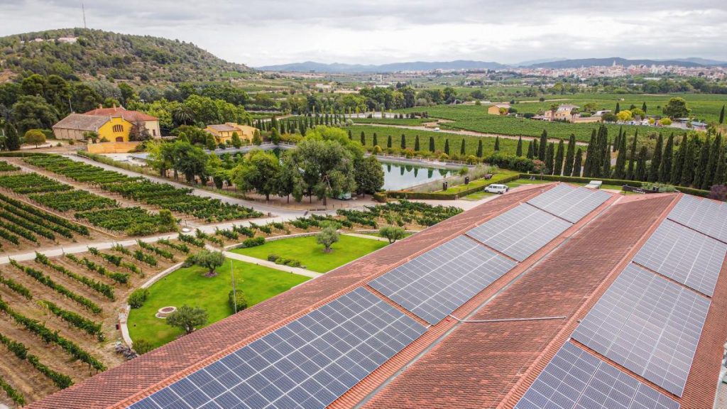 Stratégies efficaces pour réduire l’impact environnemental dans les entreprises et territoires clés : actions et exemples concrets