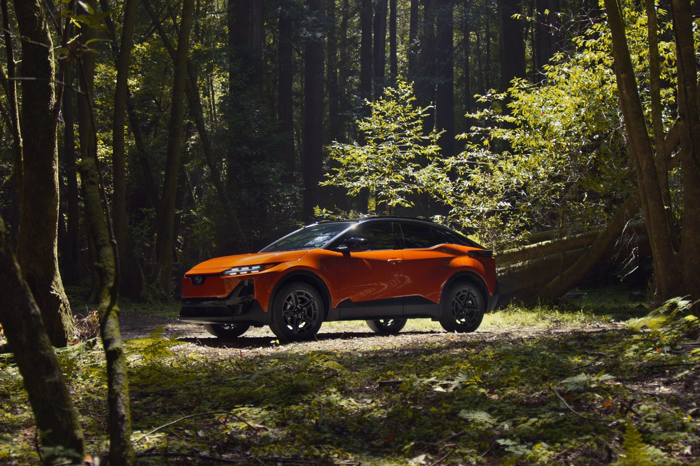 Subaru Uncharted