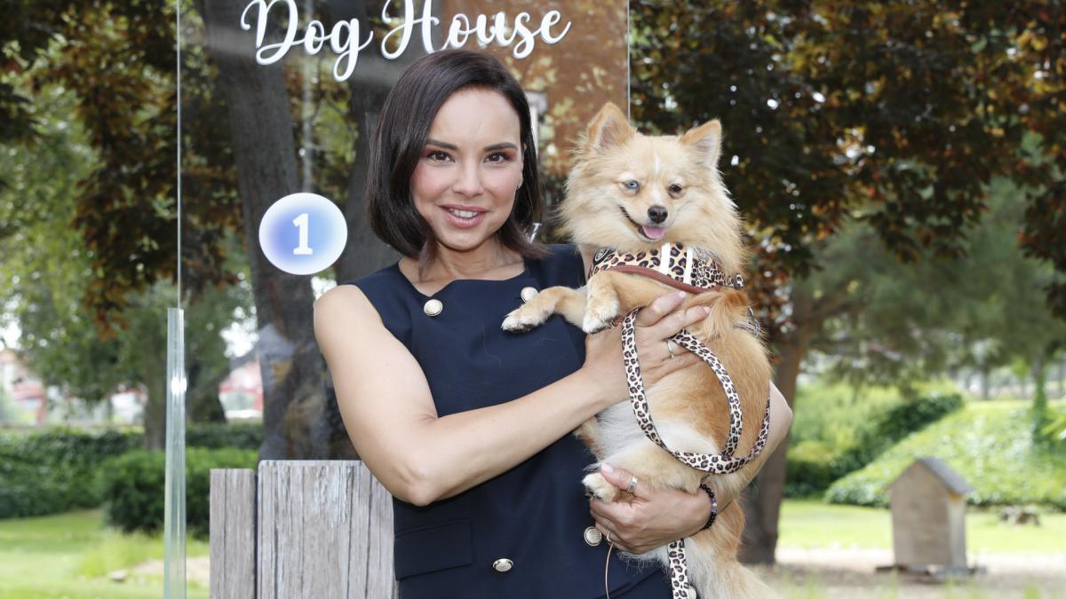 TVE sengage pour ladoption responsable de chiens adoptez un - plare.
