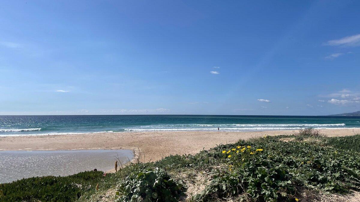 Tarifa perdera 18 metro de playa por cambio climatico - plare.