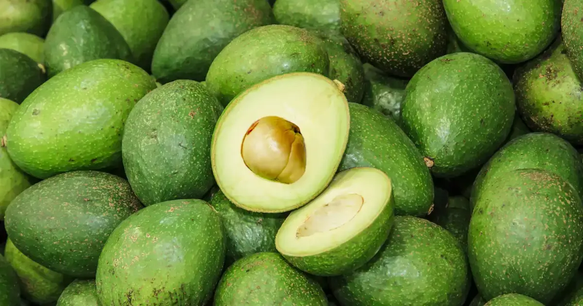 Aliments écologiques et durabilité