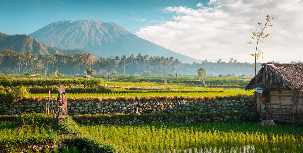 Voici un titre SEO accrocheur : 
« Secrets bien gardés de Bali à ne pas manquer : explorez des lieux inoubliables »