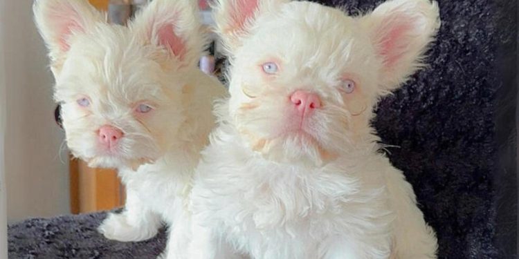 Mode risquée : les dangers cachés pour votre santé à ne pas ignorer - plare. Mode risquée : les dangers cachés pour votre santé à ne pas ignorer