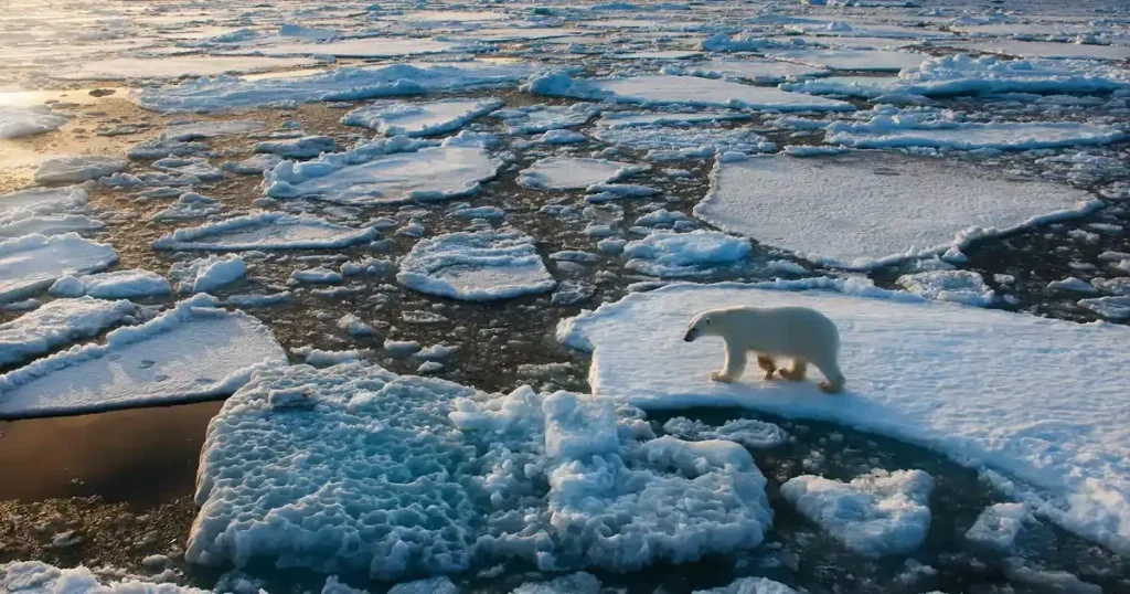 Causas, consecuencias y soluciones en un mundo al límite: reflexiones sobre el futuro sostenible