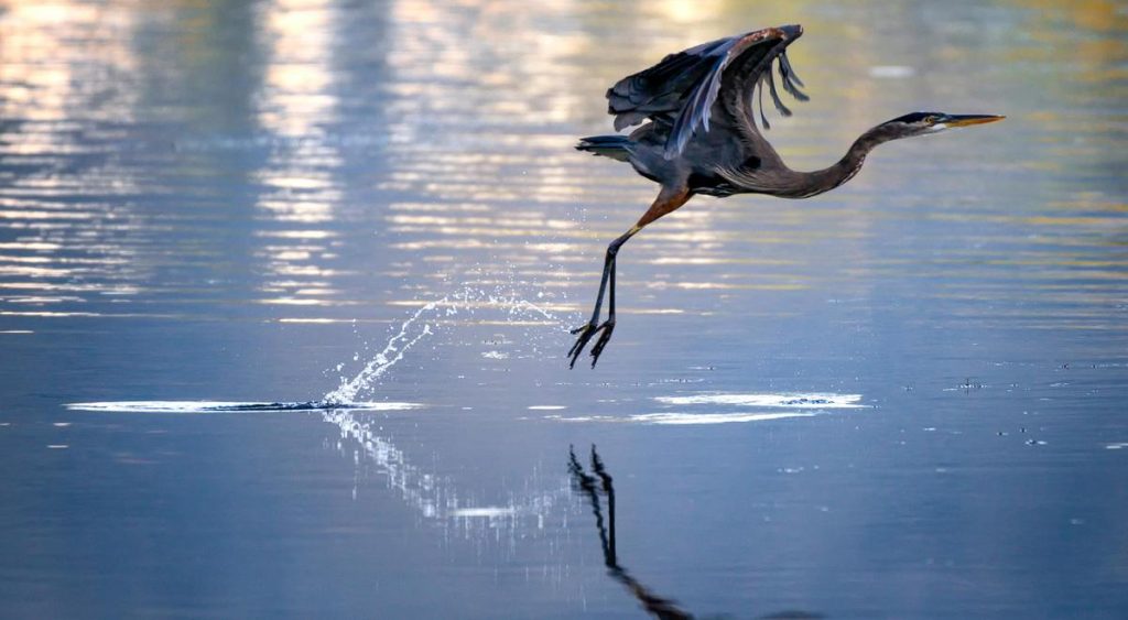 Nitrates, déversements et fermeture des plages : comprendre les risques pour l’environnement et la santé publique