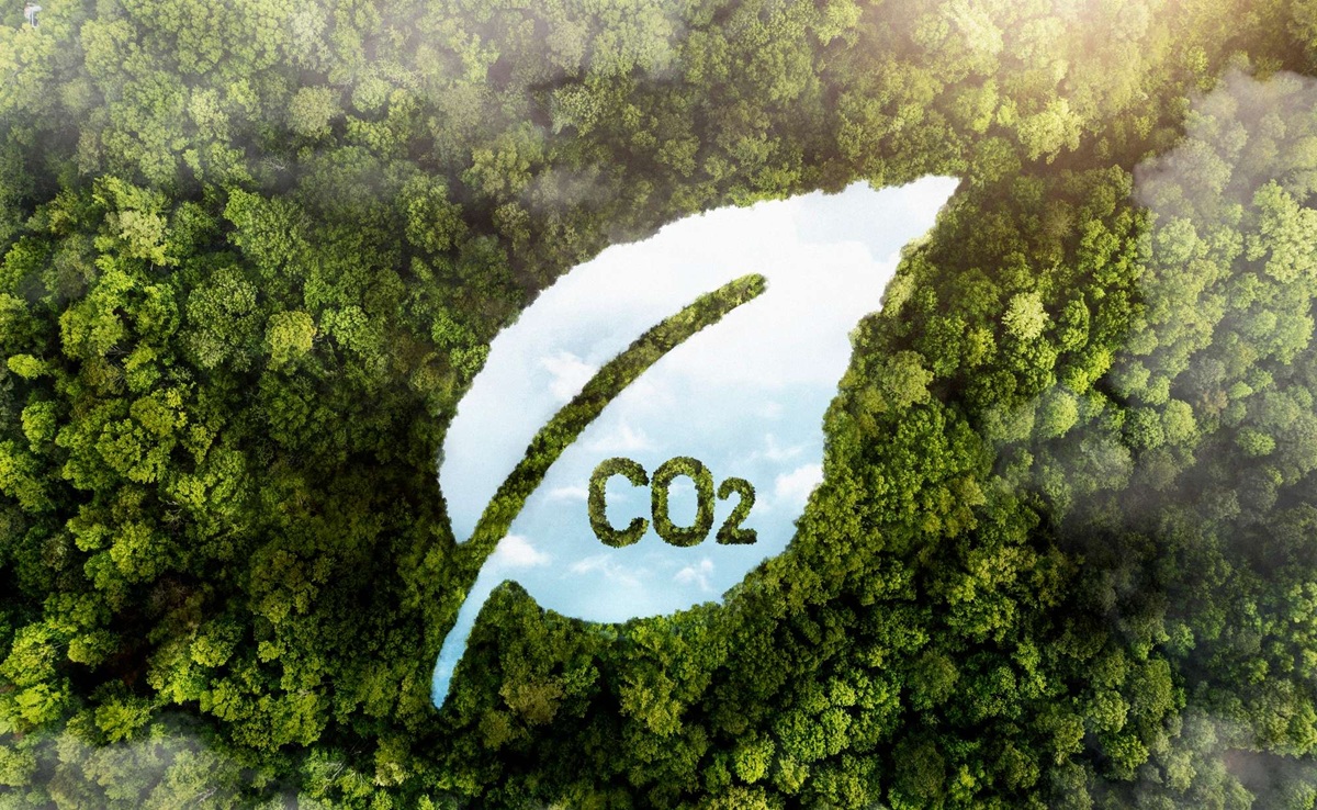 descarbonizacion energetica - plare.