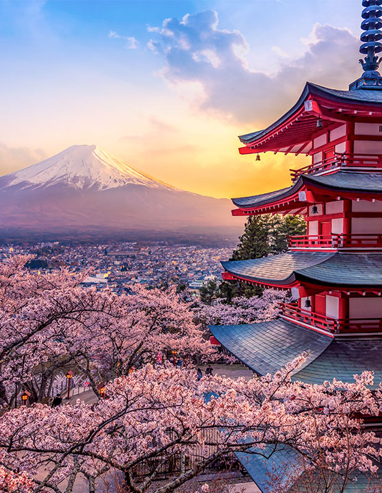 Les 10 des destinations incontournables à découvrir au Japon en 2025 - plare. découvrez les destinations incontournables du japon en 2025. explorez des lieux fascinants, de la modernité de tokyo à la sérénité de kyoto, et plongez dans la culture japonaise unique. préparez votre voyage et vivez une expérience inoubliable au pays du soleil levant.