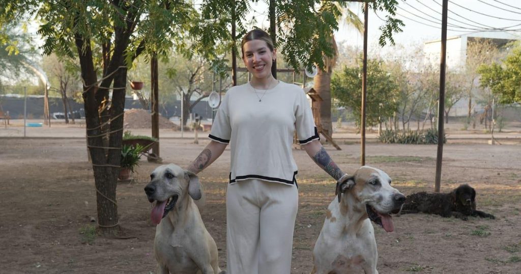 Aide essentielle pour le bien-être de vos chiens et chats : solutions indispensables pour leur santé et bonheur