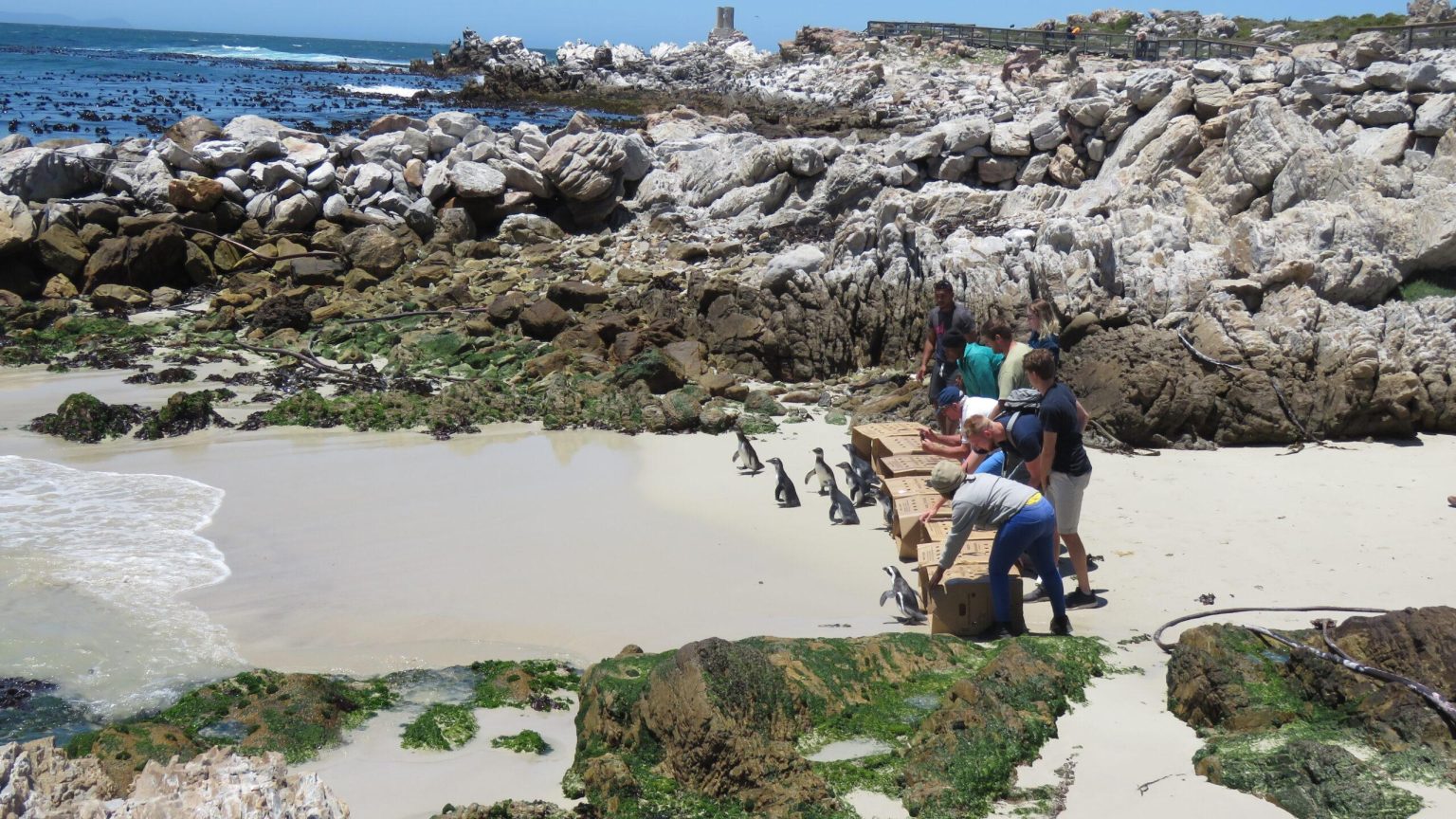 Éducation environnementale en Espagne : valoriser le respect de la nature avec des activités engageantes