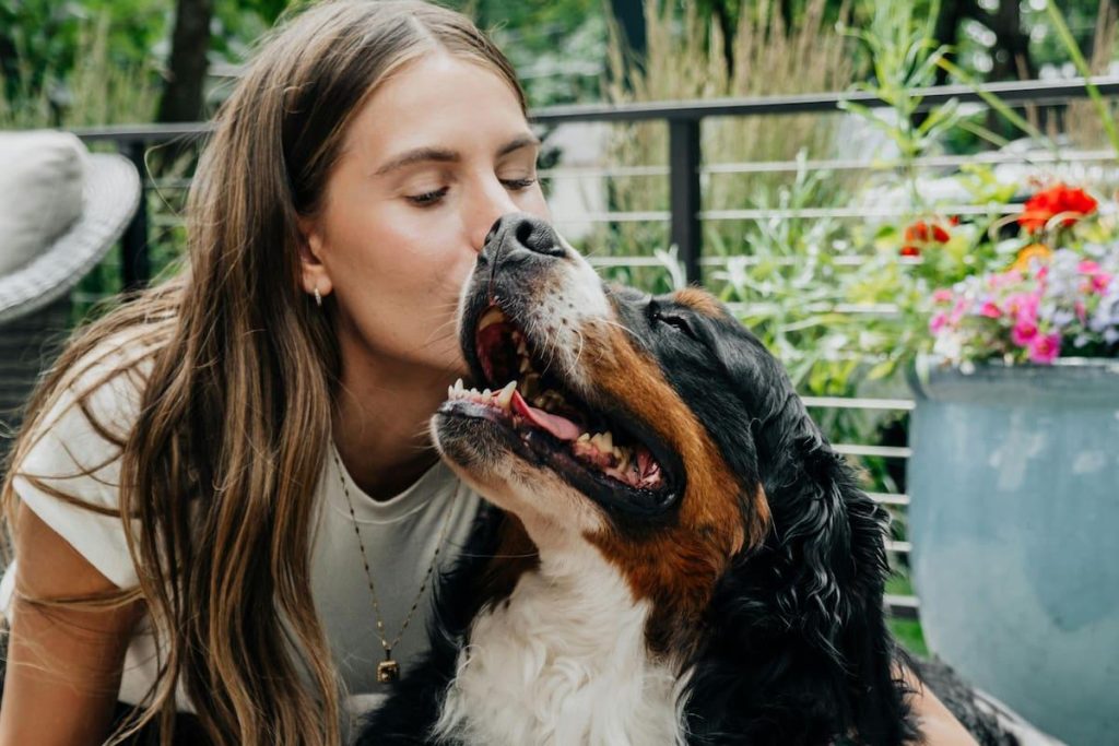 Principaux faux pas dans le soin des chiens : astuces essentielles pour les éviter