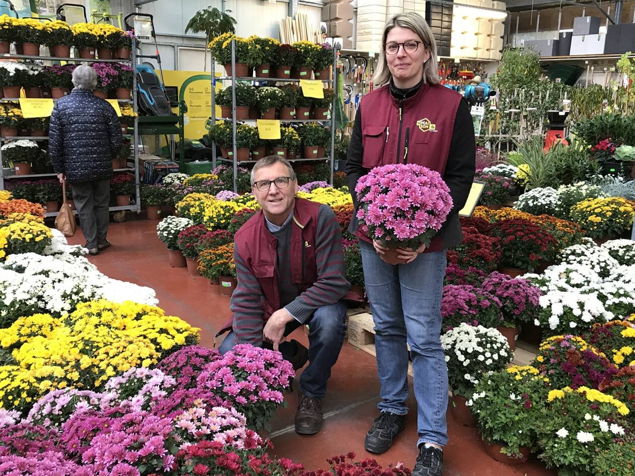 découvrez notre sélection des jardineries incontournables où trouver un large choix de plantes, fleurs et accessoires pour sublimer votre jardin. profitez de conseils d'experts et d'offres exclusives pour optimiser votre espace vert.