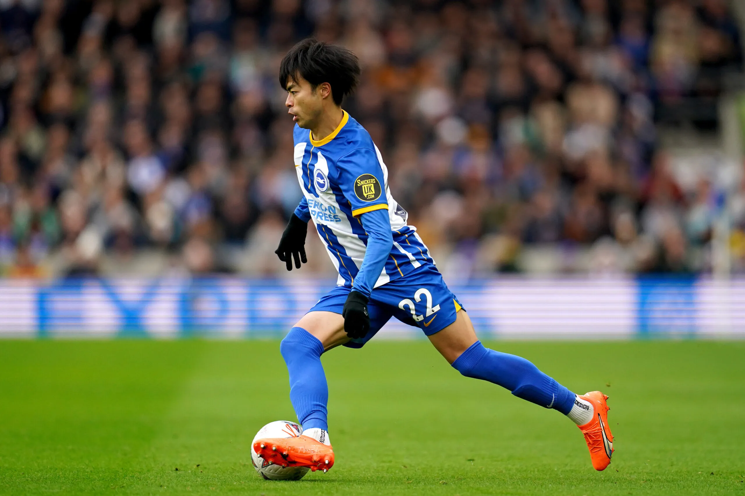 Les 10 légendes du football à Brighton - plare. découvrez les légendes du football de brighton, des icônes qui ont marqué l'histoire du club et enrichi le paysage du football. plongez dans leurs parcours, exploits et contributions mémorables au sein de l'équipe.