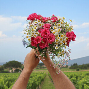 Les 10des plateformes de livraison de fleurs directement chez vous - plare. découvrez notre service de livraison de fleurs rapide et fiable. offrez des bouquets frais et magnifiques pour toutes les occasions, directement chez vous ou chez vos proches. commandez en ligne et faites plaisir avec des fleurs sélectionnées avec soin.