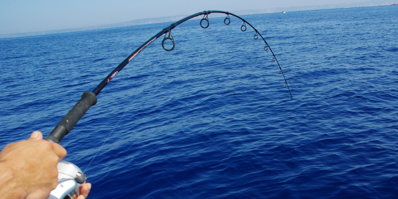 Les 10 marques incontournables de cannes à pêche - plare. découvrez notre sélection des meilleures marques de cannes à pêche, alliant qualité, performance et innovation. trouvez la canne parfaite pour chaque type de pêche et améliorez vos expériences en plein air.