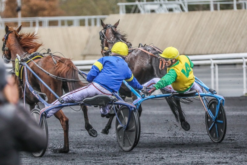 découvrez l'univers des chevaux en belgique avec notre guide sur les paris équestres. plongez dans l'excitation des courses et apprenez à parier sur vos chevaux préférés à travers les plus belles compétitions belges.