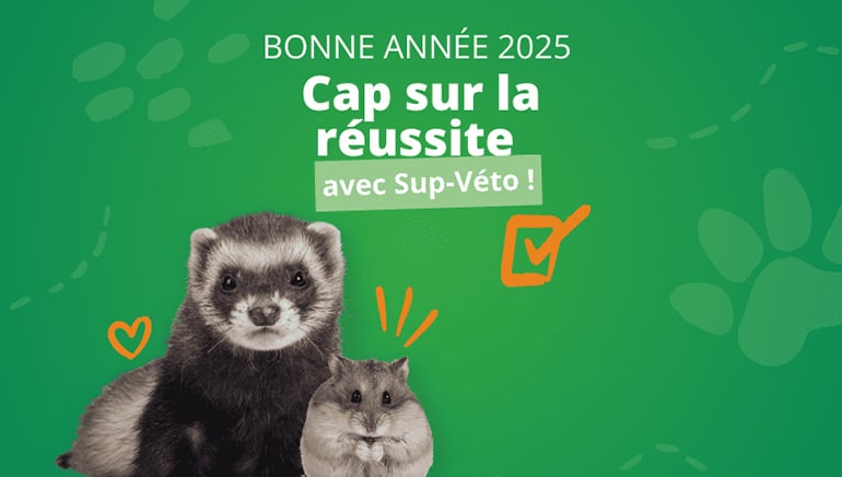 Les 10meilleures plateformes pour acheter des vêtements pour bébés en 2025 - plare. découvrez notre sélection de plats et vêtements pour bébés en 2025, alliant confort, style et praticité pour accompagner les tout-petits dans leur aventure de croissance. offrez le meilleur à votre bébé avec des produits tendance et fonctionnels.