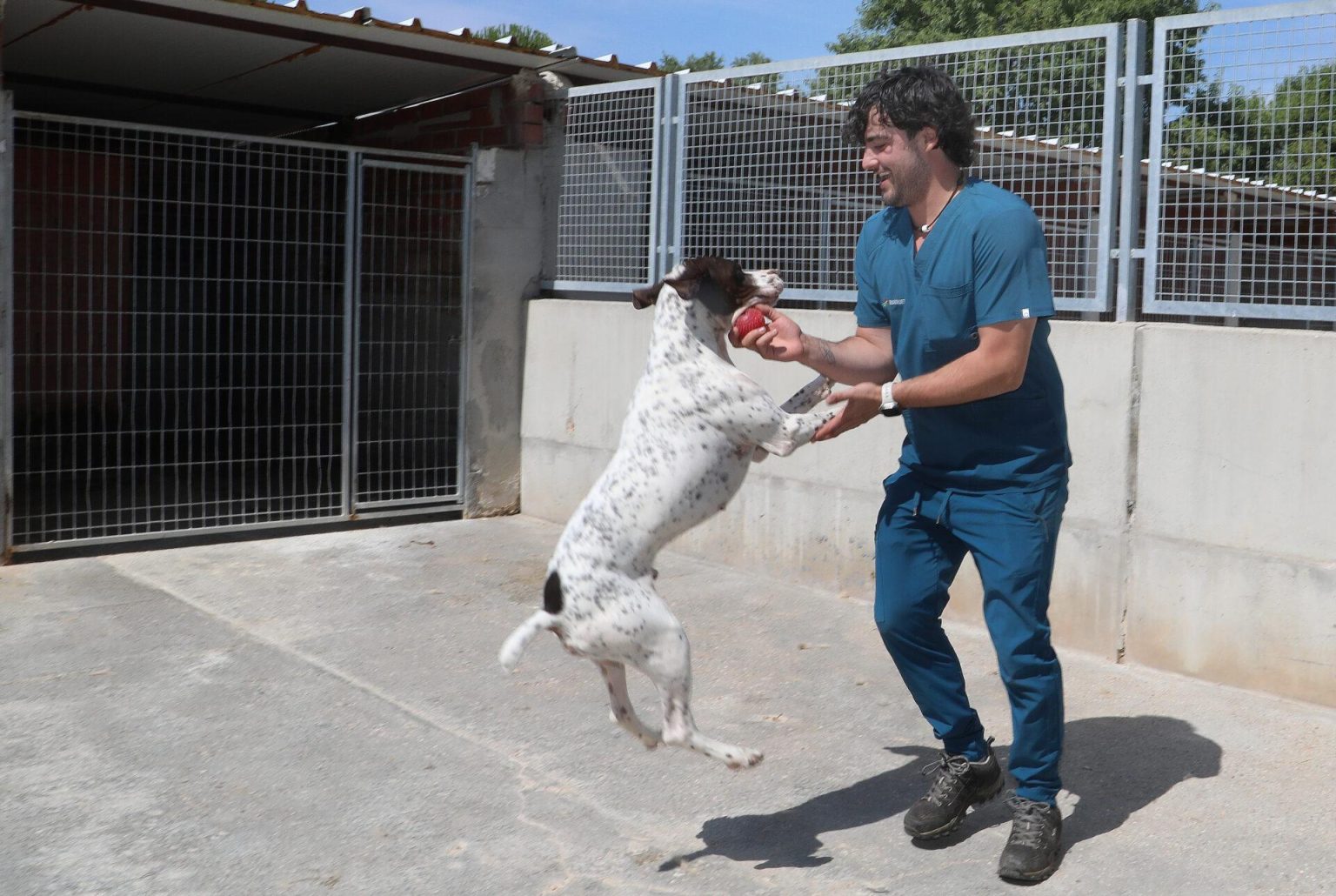 Gestion innovante et défis cruciaux pour la protectrice des animaux de Palencia