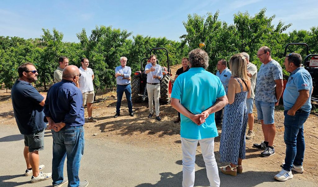 Le secteur primaire espagnol : défis de financement et enjeux de modernisation pour un avenir durable.