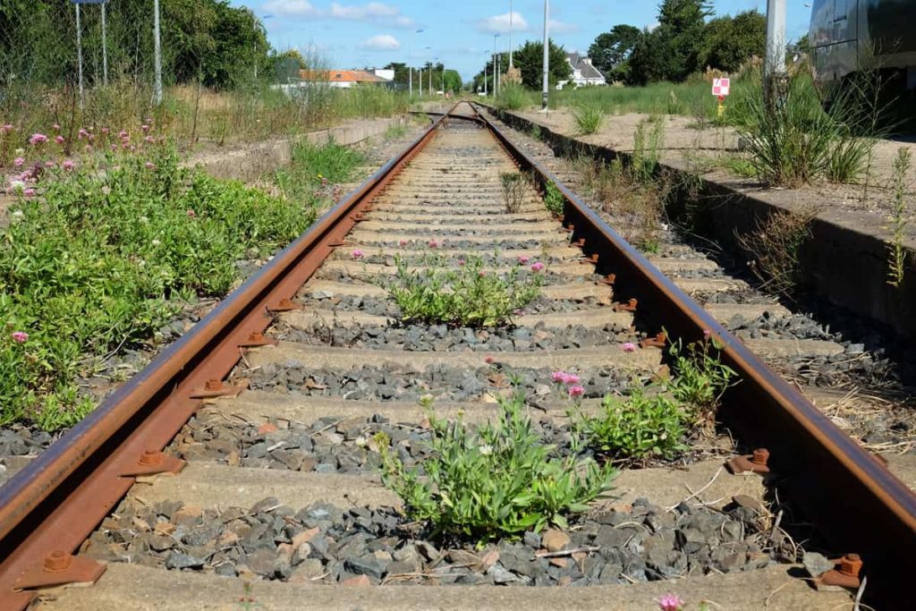 découvrez les meilleures options pour acheter vos billets de train en 2025. comparez les prix, trouvez des offres intéressantes et planifiez vos voyages facilement grâce à notre guide complet des sites de réservation de billets de train.